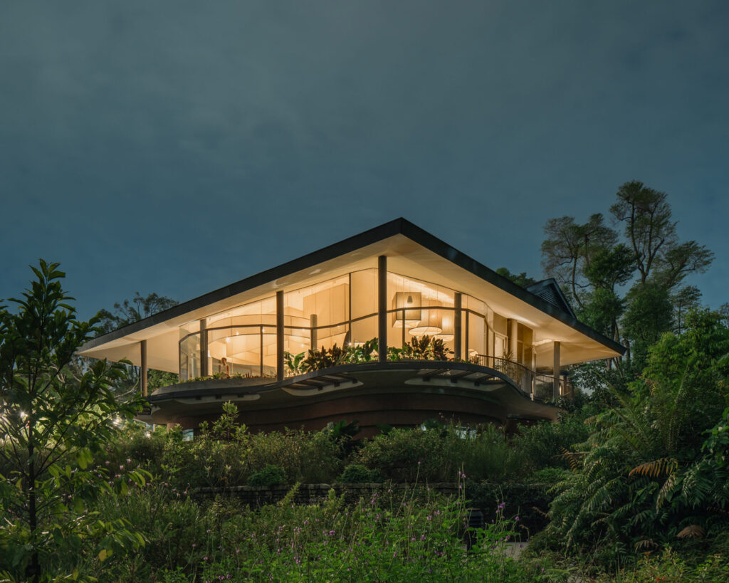 Pangium at the Singapore Botanic Gardens